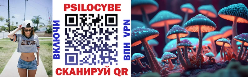 Псилоцибиновые грибы Psilocybe Изобильный