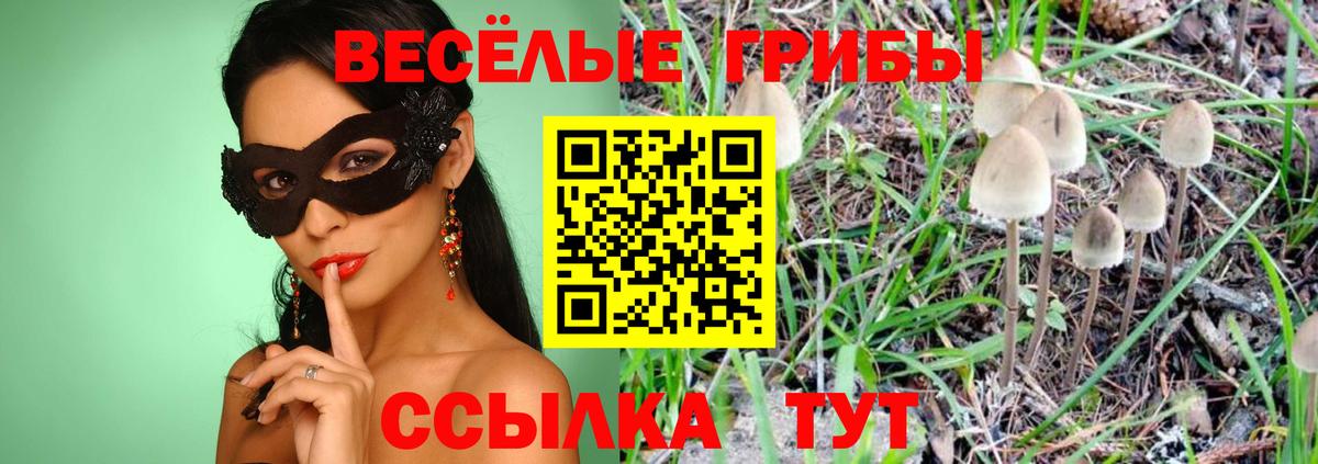 Галлюциногенные грибы ЛСД  Вход с VPN  Галлюциногенные грибы MAGIC MUSHROOMS  где купить наркоту  Изобильный 